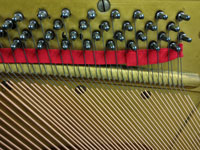 Closeup of new bass strings and tuning pins installed